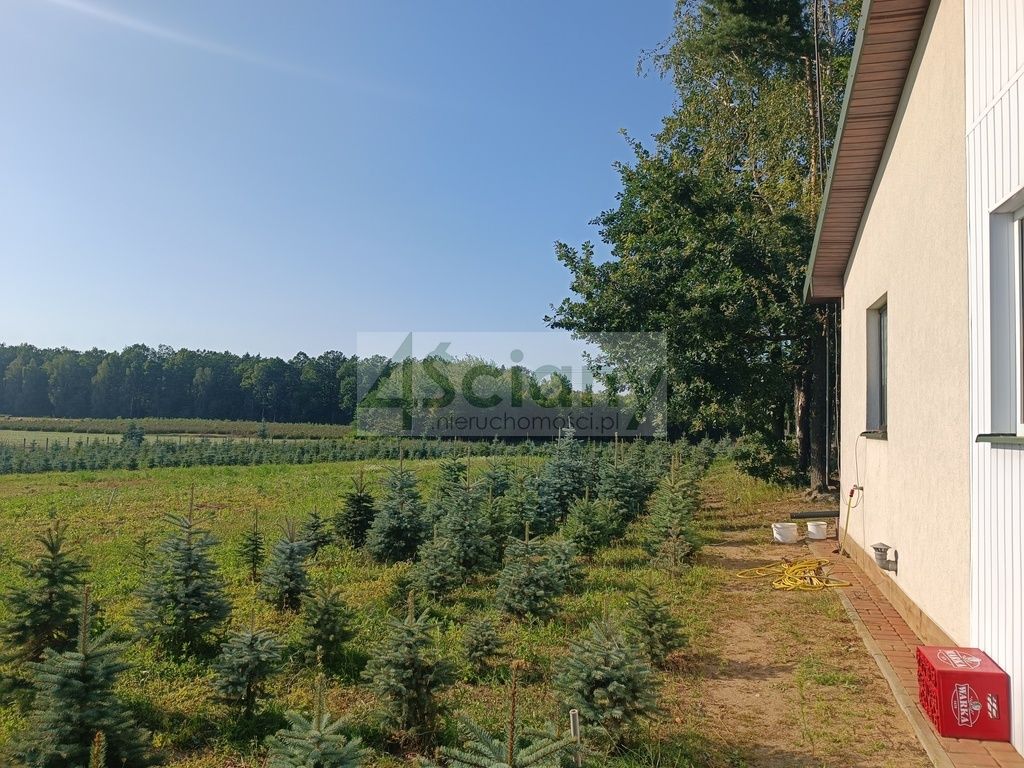 Działka siedliskowa Osuchów. Zdjęcie 2