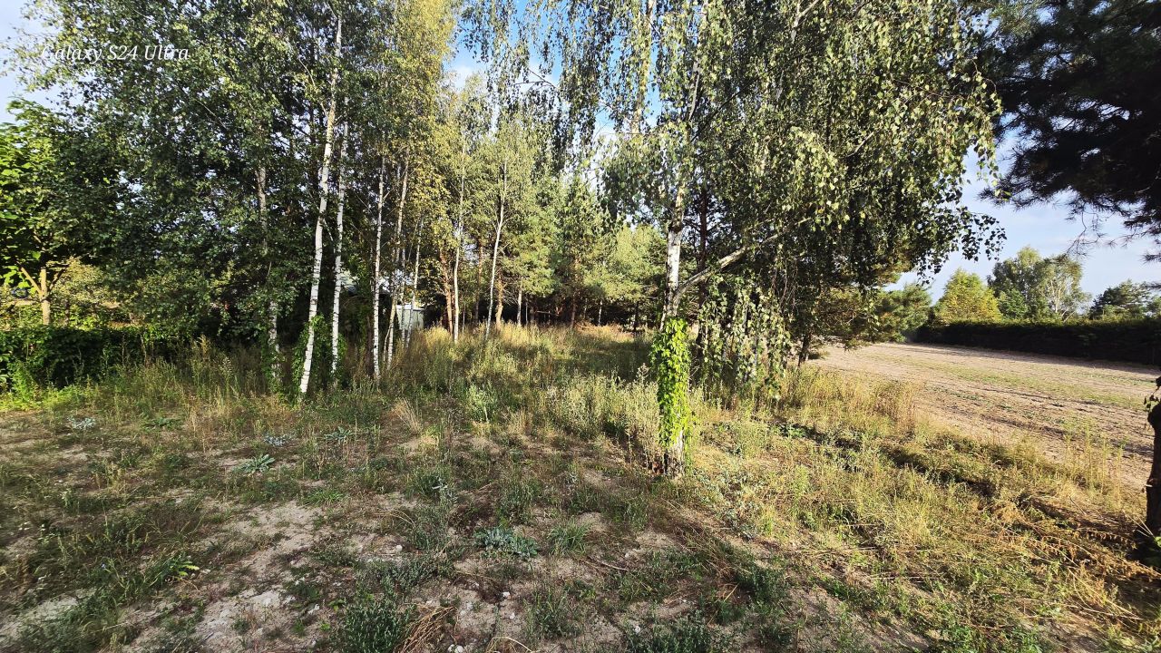 Działka rolno-budowlana Teodorów. Zdjęcie 3