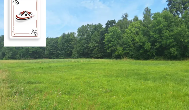 Działka rolna Kępa