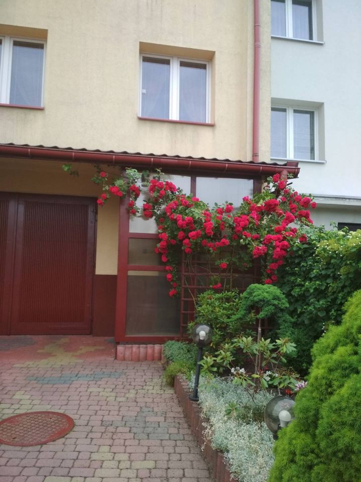 dom szeregowy, 5 pokoi Stalowa Wola Chyły, ul. Wojciecha Kossaka