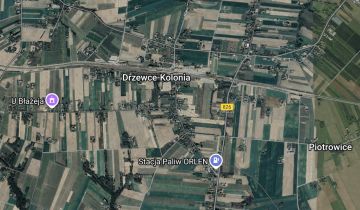 dom wolnostojący, 5 pokoi Drzewce-Kolonia