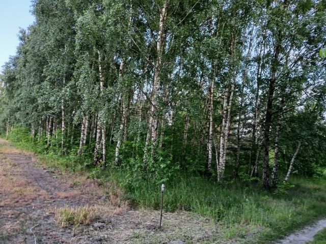 Działka rolno-budowlana Kosówka. Zdjęcie 1