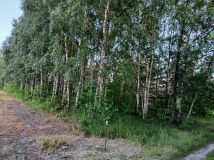 Działka rolno-budowlana Kosówka