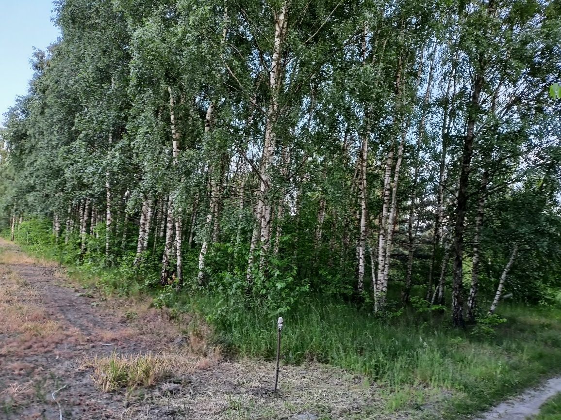 Działka rolno-budowlana Kosówka