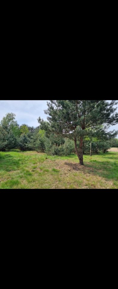 Działka budowlana Kawęczyn. Zdjęcie 4