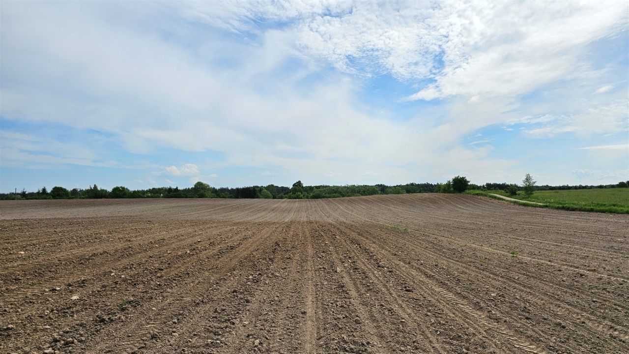 Działka rolna Dziubiele. Zdjęcie 21