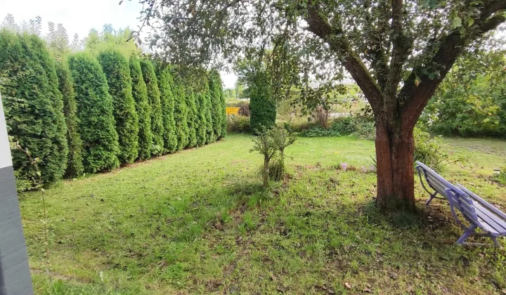 Działka rod Zawiercie Centrum