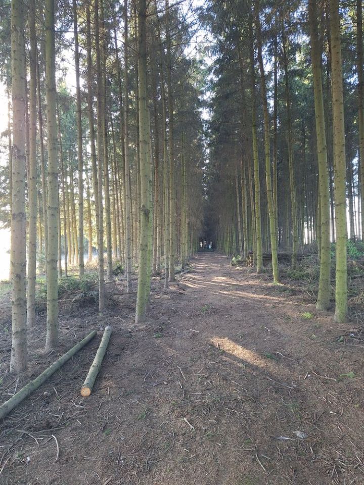 Działka budowlana Maszki. Zdjęcie 8