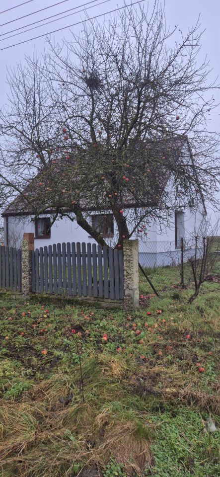 dom wolnostojący, 4 pokoje Michalin. Zdjęcie 27