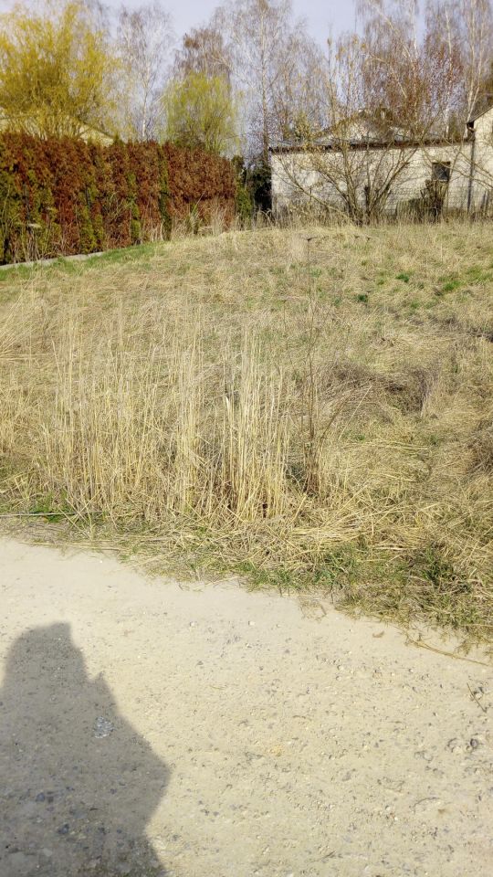 Działka rolno-budowlana Łoziska, ul. Skrawek Nieba. Zdjęcie 8