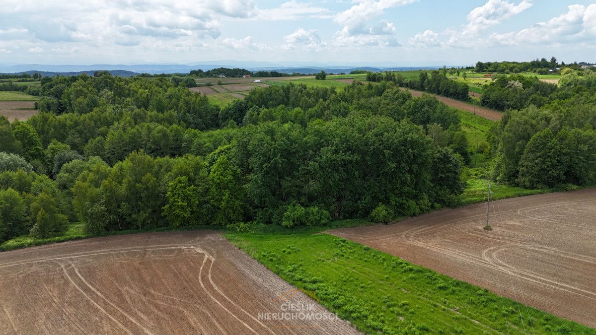 Działka rolna Czułów. Zdjęcie 3