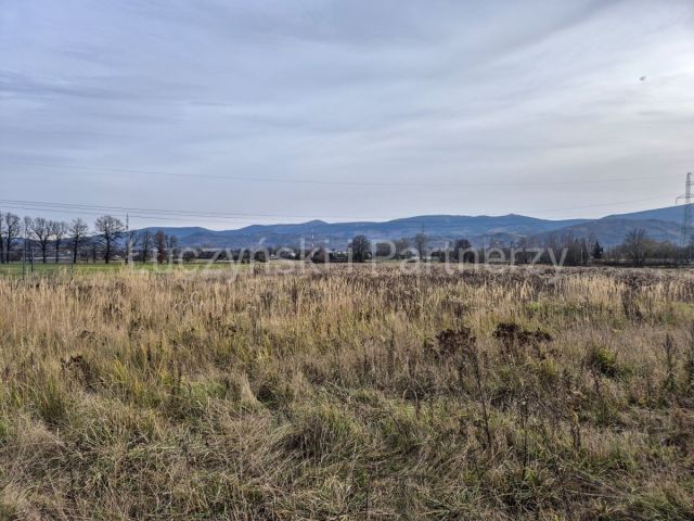 Działka inwestycyjna Wojcieszyce. Zdjęcie 1