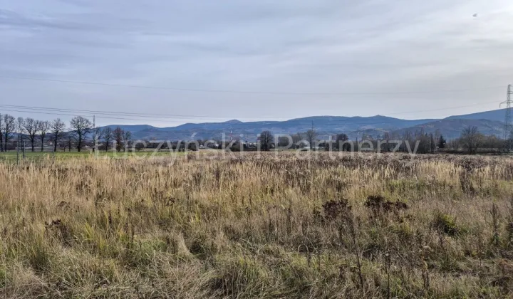 Działka inwestycyjna Wojcieszyce