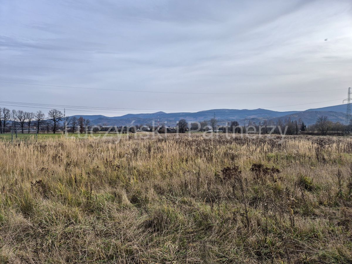 Działka inwestycyjna Wojcieszyce