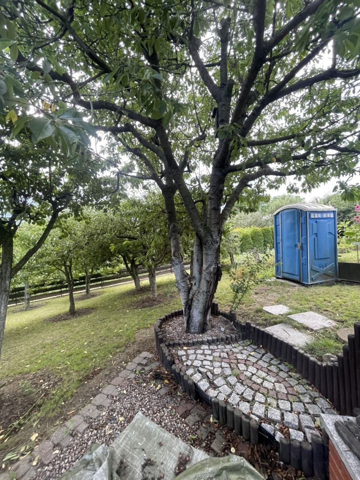 Działka rod Wieniec-Zalesie Dziadowo-Folwark, ul. Zdrojowa. Zdjęcie 8