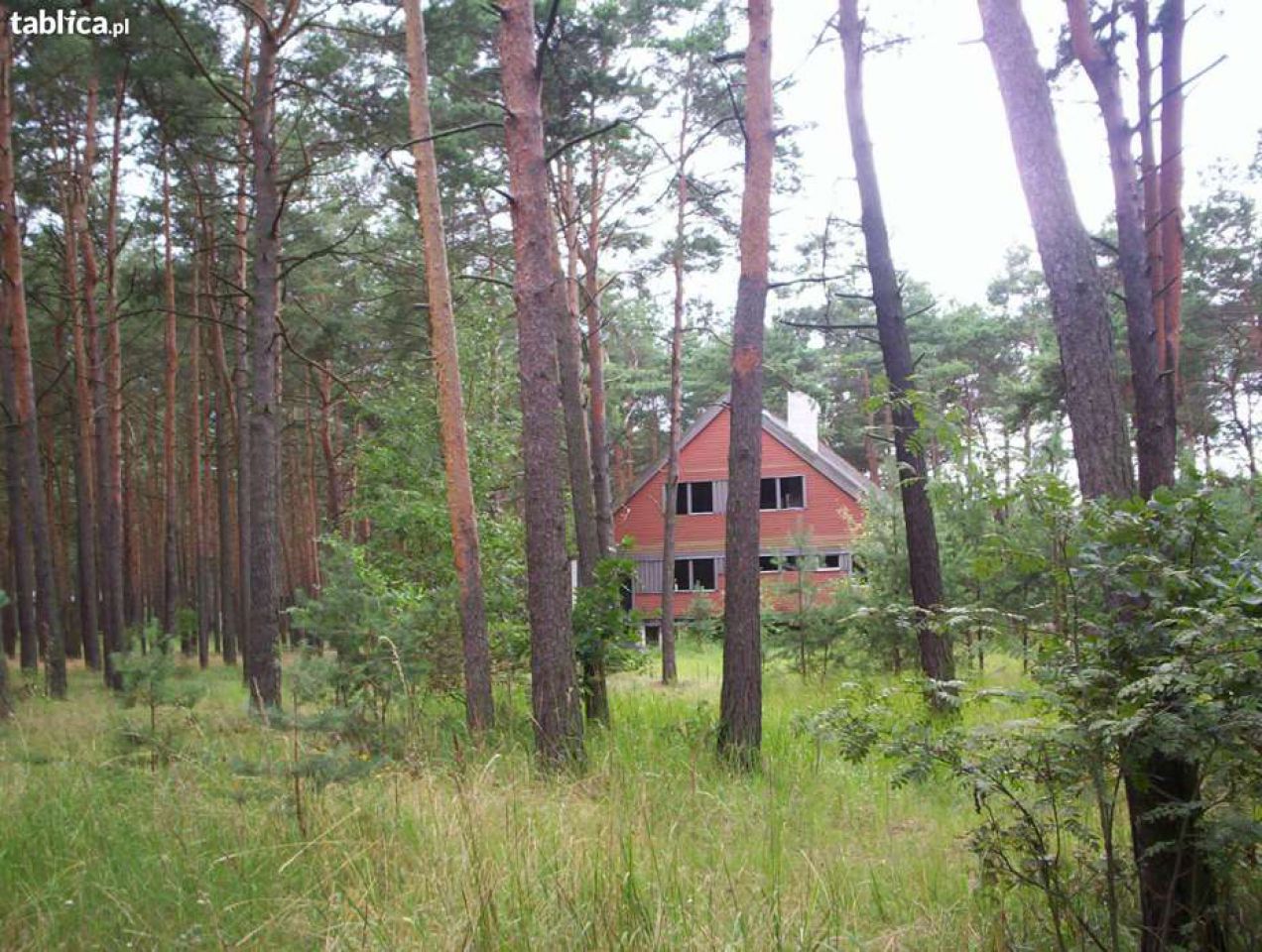 dom wolnostojący Borek. Zdjęcie 3