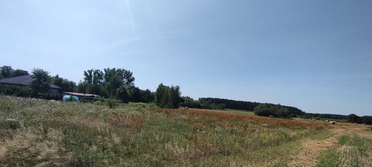 Działka budowlana Brzyków Brzyków Poduchowny. Zdjęcie 5