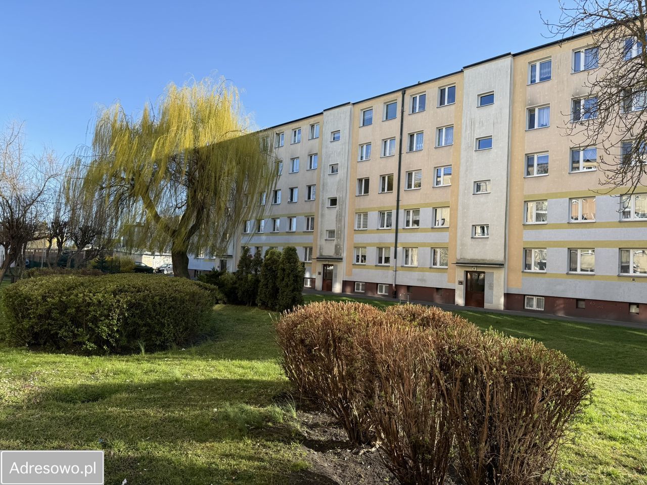 Mieszkanie 2-pokojowe Grudziądz, ul. Moniuszki