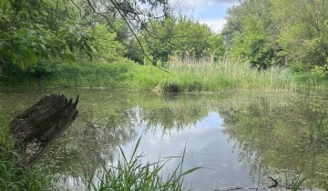Działka rolna Tarnów, Tarnów