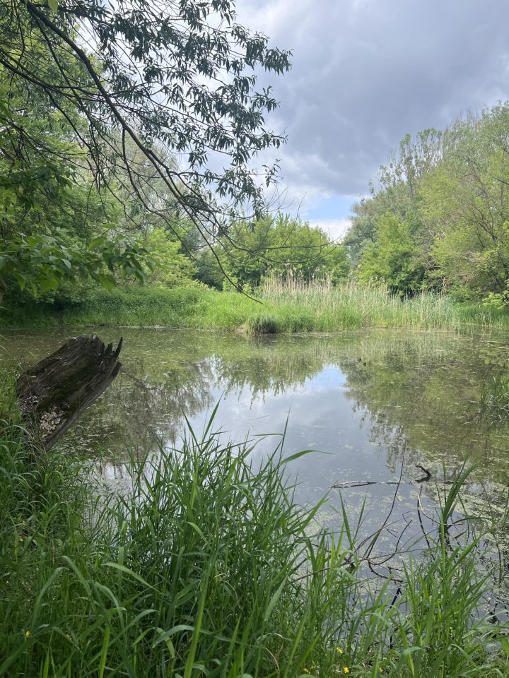 Działka rolna Tarnów