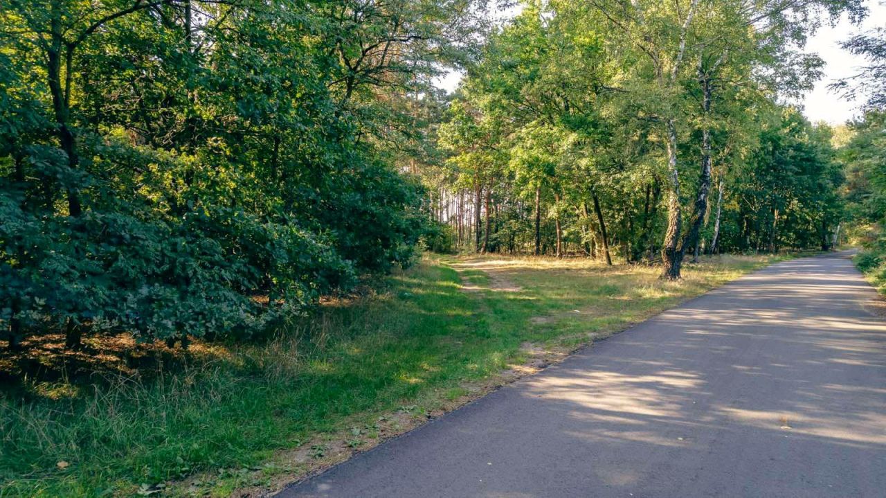 Działka budowlana Skrzynka. Zdjęcie 2