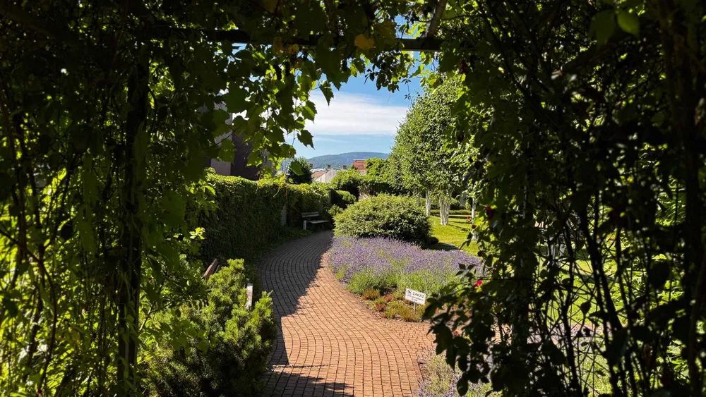 Mieszkanie 2-pokojowe Bielsko-Biała Śródmieście. Zdjęcie 3