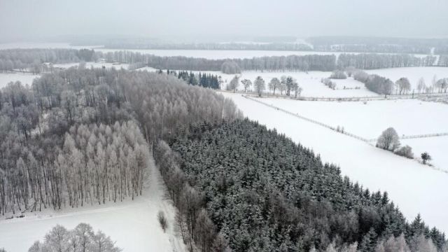 Działka leśna Harsz. Zdjęcie 14