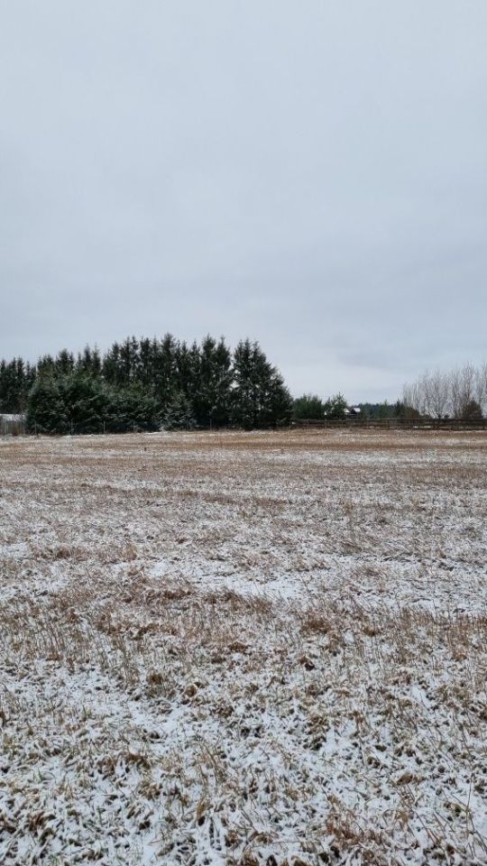 Działka budowlana Niewodnica Nargilewska-Kolonia. Zdjęcie 6