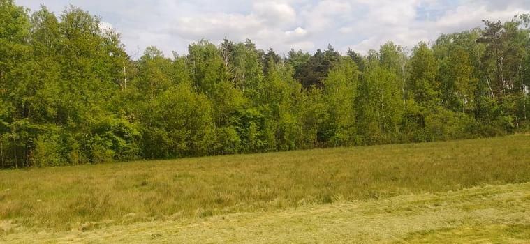 Działka budowlana Skotniki. Zdjęcie 8