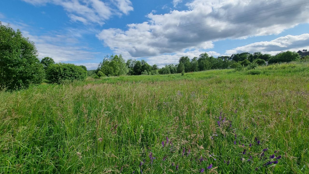 Działka budowlana Gaj Zadziela, ul. Zadziele. Zdjęcie 5