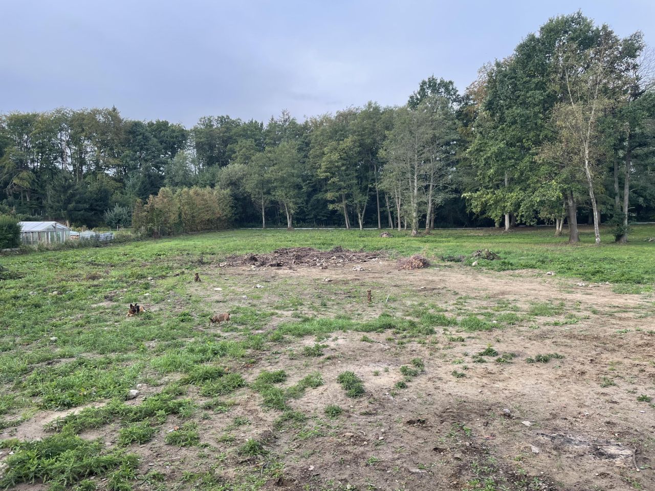 Działka rolno-budowlana Drawsko Pomorskie Okrze, ul. Stefana Okrzei. Zdjęcie 3