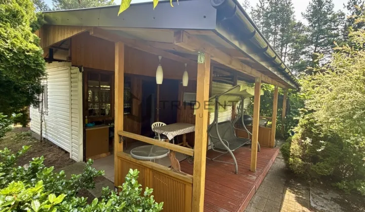 Działka rod Szczaki