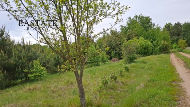 Działka inwestycyjna Myrcha. Zdjęcie 5