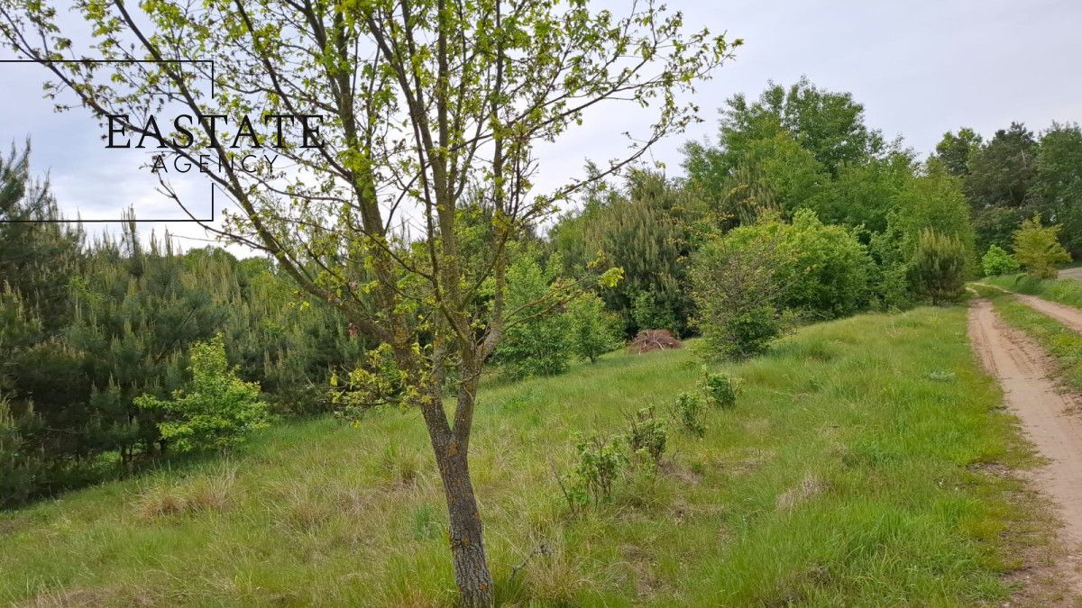 Działka inwestycyjna Myrcha. Zdjęcie 5