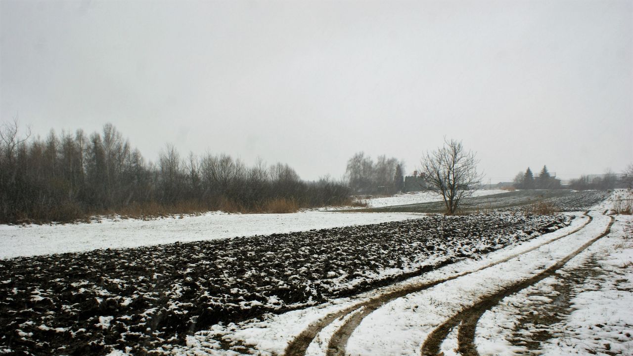 Działka inwestycyjna Medyka. Zdjęcie 4