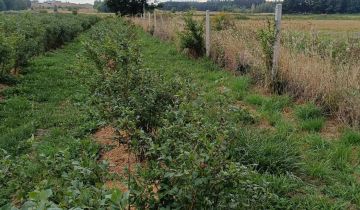 Działka rolna Skrudki