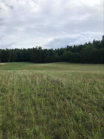 Działka rolno-budowlana Sianowska Huta. Zdjęcie 1