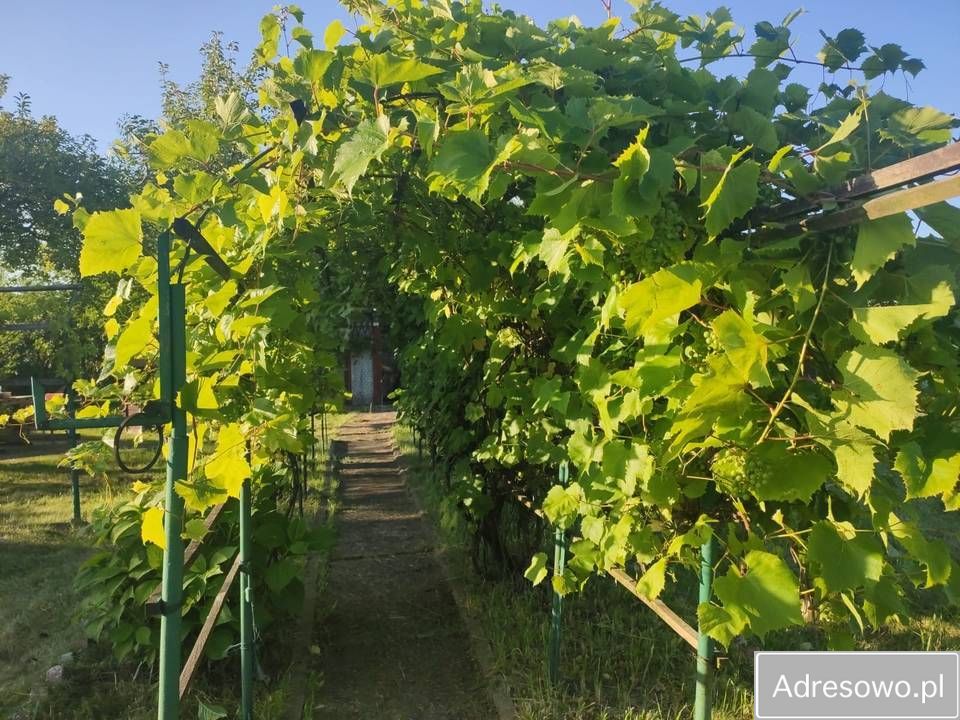 Działka budowlana Lubliniec