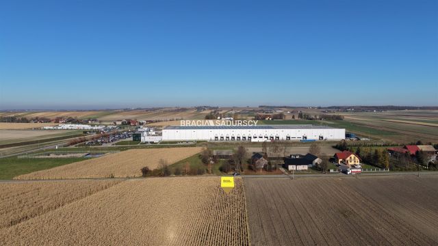 Działka budowlana Prandocin-Iły. Zdjęcie 2