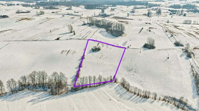 Działka rolna Orłowo. Zdjęcie 2