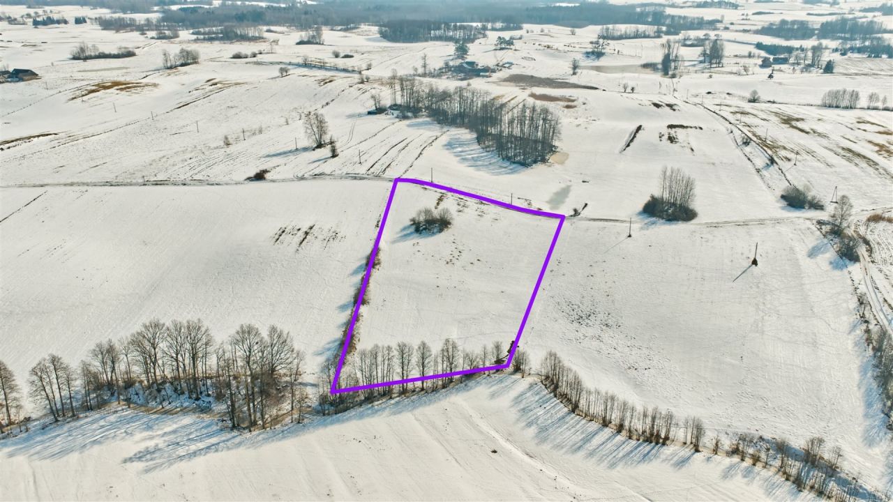 Działka rolna Orłowo. Zdjęcie 2