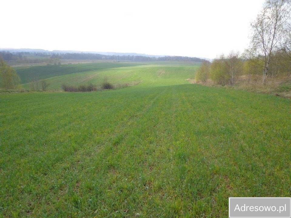 Działka rolna Niwnice. Zdjęcie 11