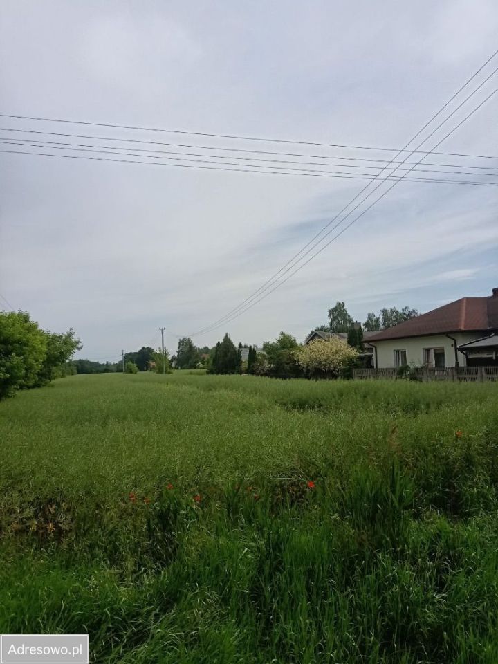 Działka rolno-budowlana Natolin. Zdjęcie 2