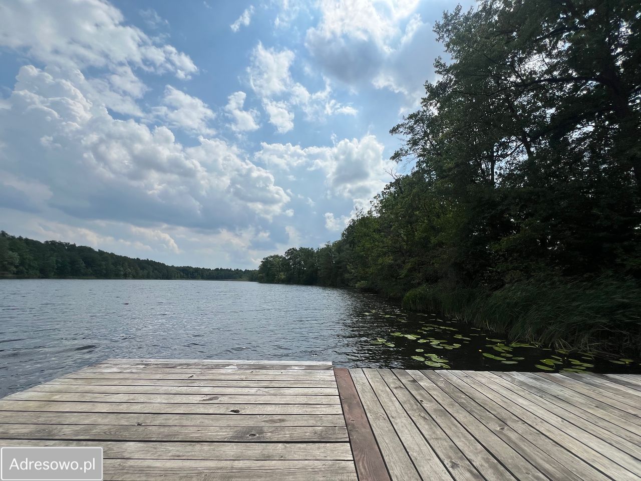 Działka budowlana Kuźnica Głogowska Głuchów. Zdjęcie 5