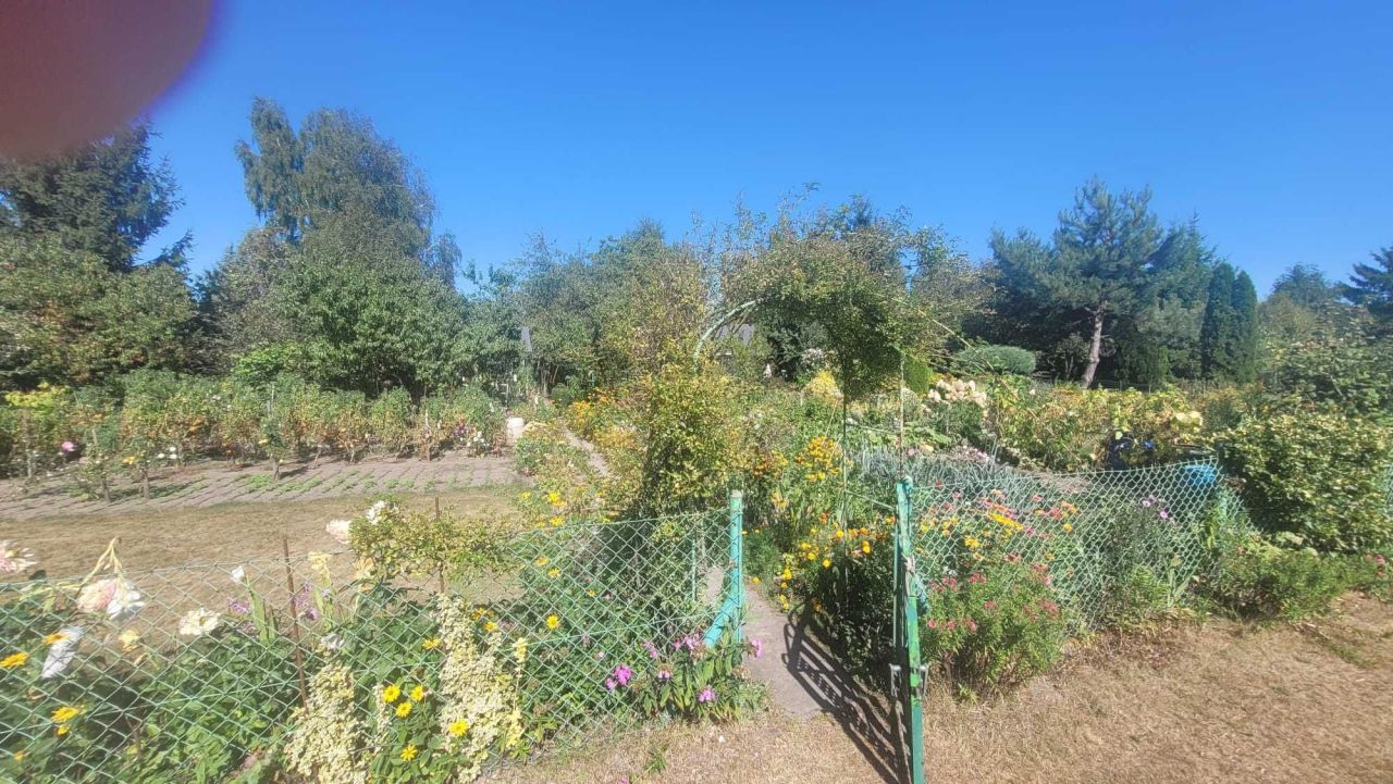 Działka rod Wrocław Psie Pole, ul. Poświęcka. Zdjęcie 5