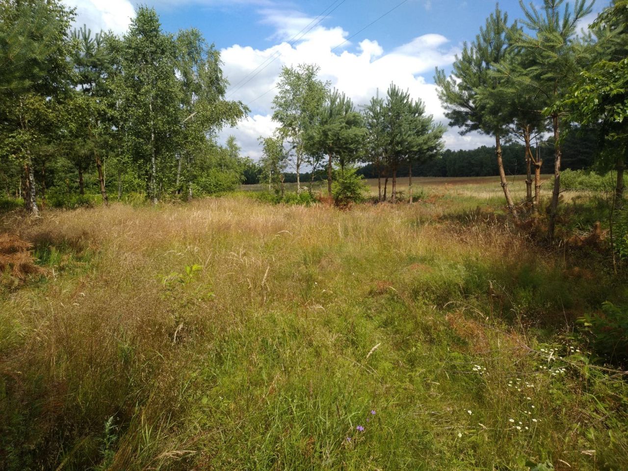 Działka budowlana Bartoszylas. Zdjęcie 12