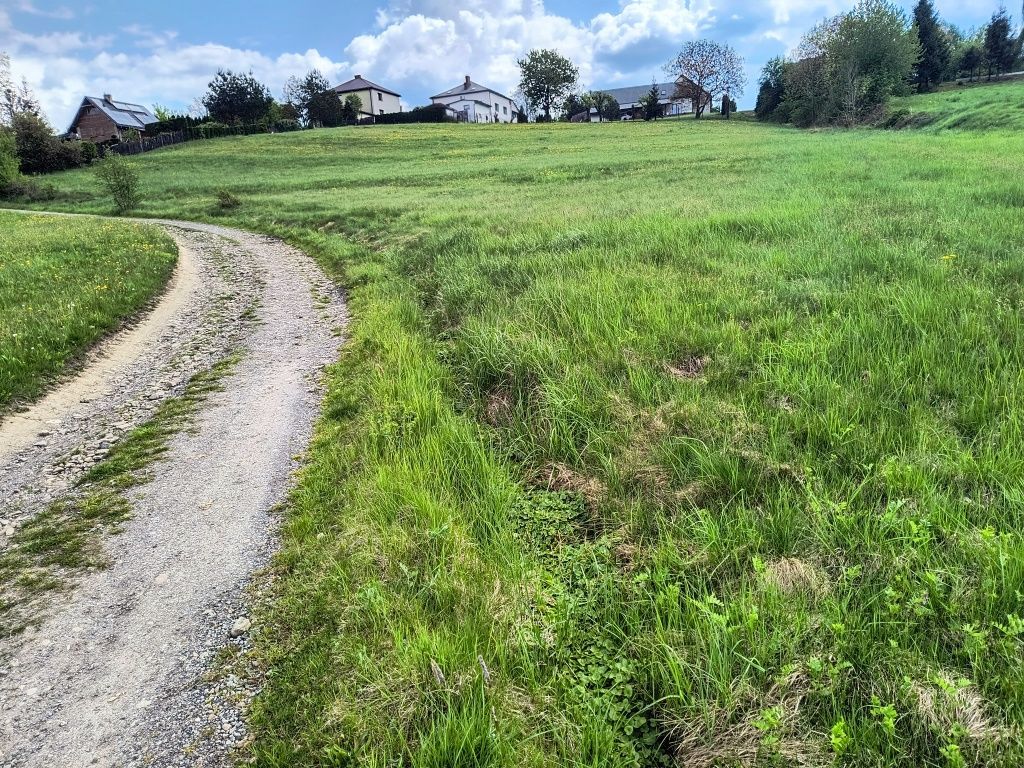 Działka budowlana Lipowa. Zdjęcie 8