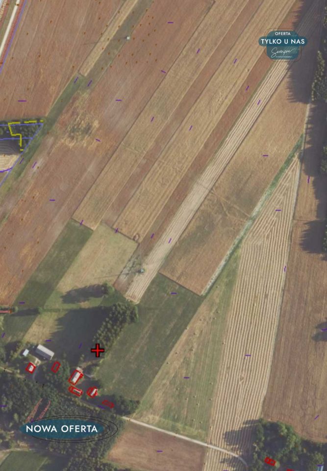 Działka siedliskowa Stefanów Ruszkowski. Zdjęcie 25