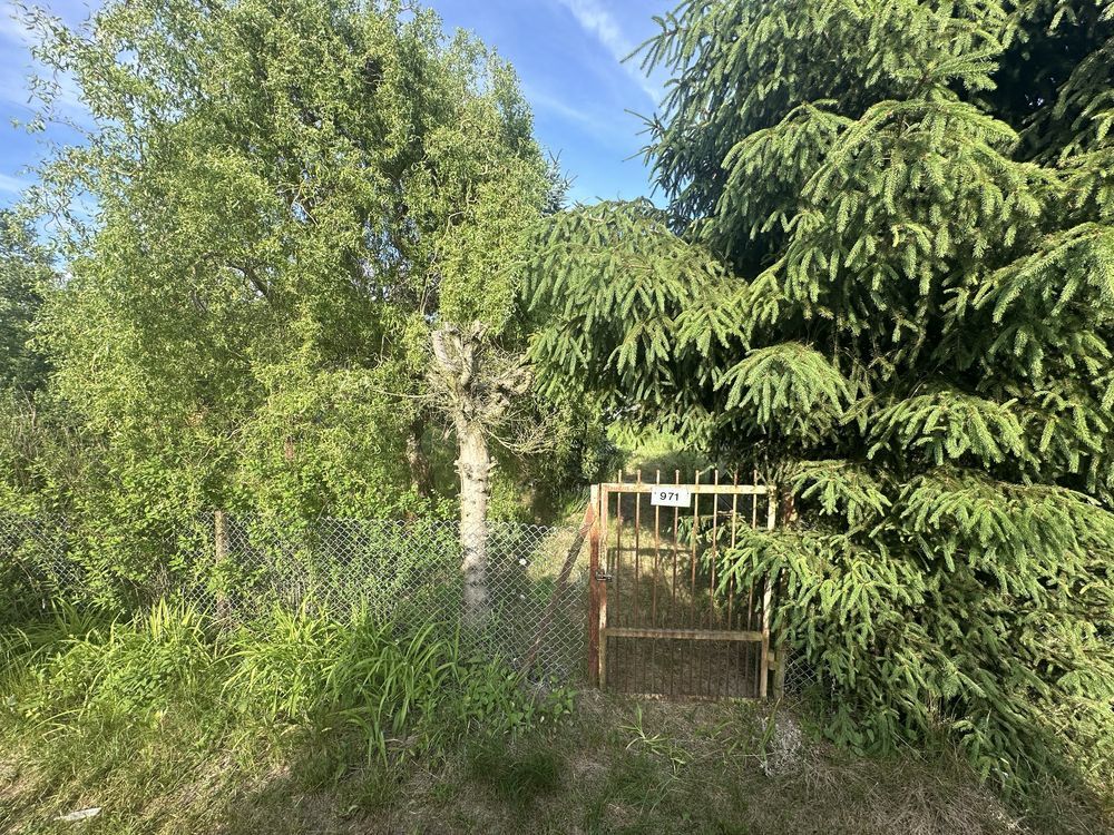 Działka rod Ciechanów. Zdjęcie 3