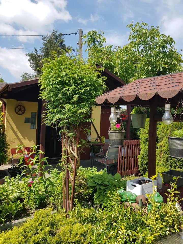 Działka rod Siemianowice Śląskie, ul. Obwodowa. Zdjęcie 2